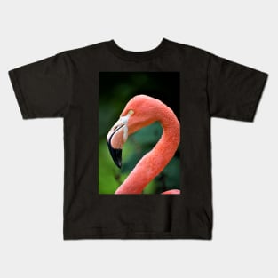 Flamingo Bird Kids T-Shirt